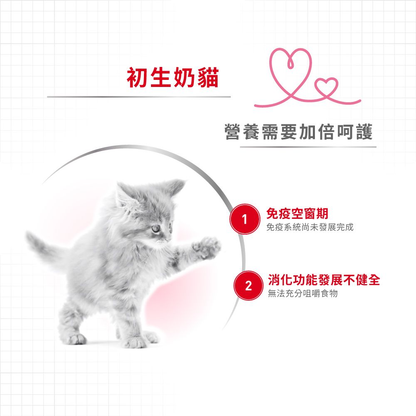 Royal Canin 法國皇家 FHN Baby Cat Milk 初生貓營養奶粉 300g