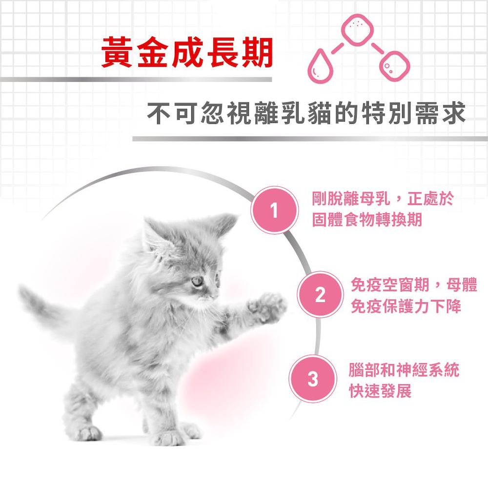 Royal Canin 法國皇家 FHN Cat Babycat Can 離乳母貓及初生貓配方罐頭 195g