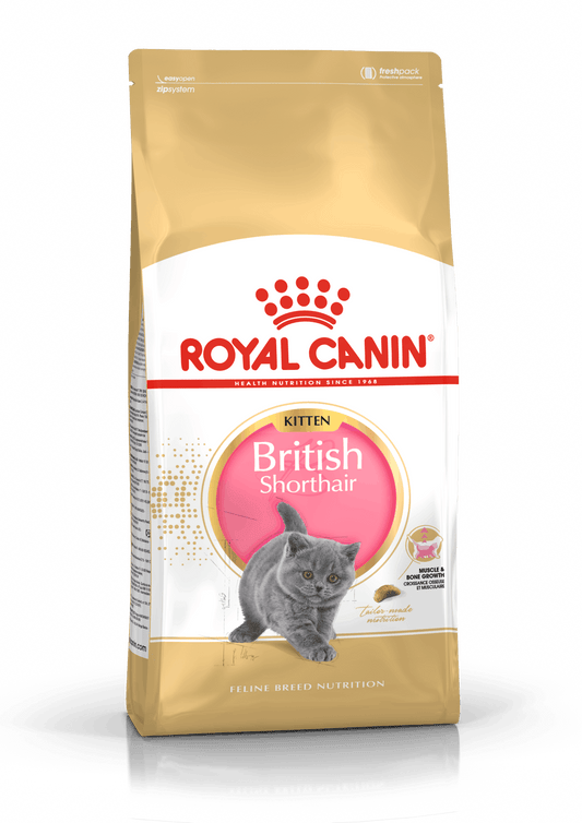 ROYAL CANIN 法國皇家 FBN CAT BRITISH SH KITTEN 英國短毛幼貓專屬配方