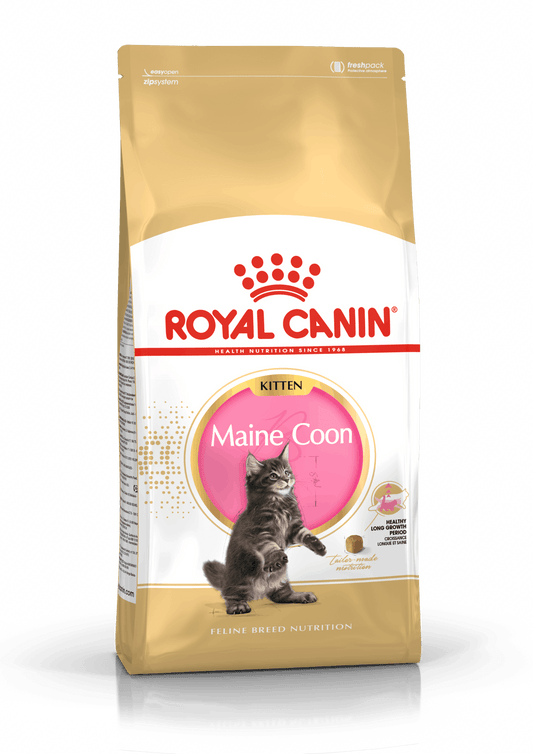 ROYAL CANIN 法國皇家 FBN CAT MAINE COON KITTEN 緬因幼貓專屬配方